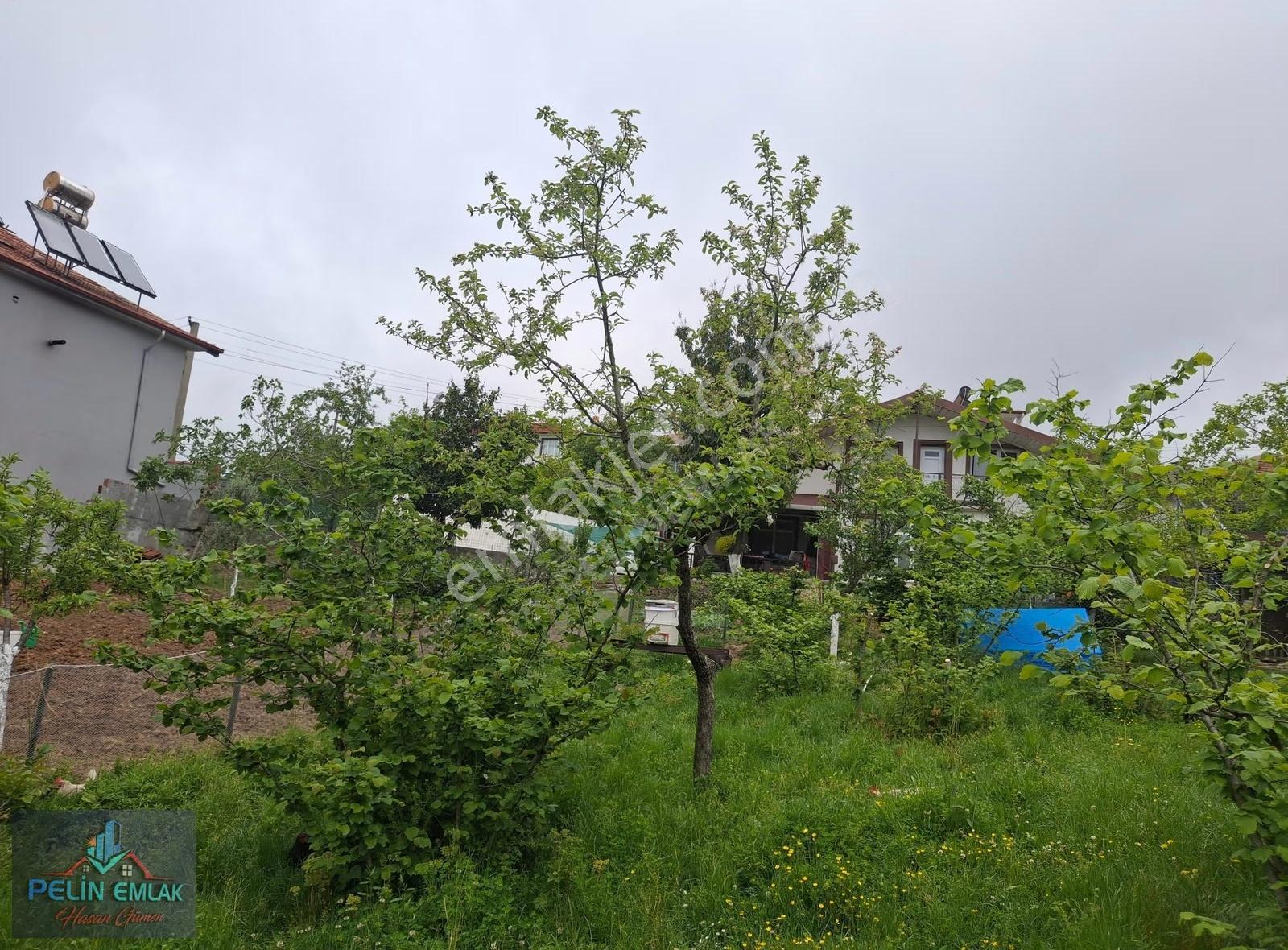 Kdz. Ereğli Kandilli'de Satılık Müstakil Ev Ve 1300m² Arsa - Görsel 16