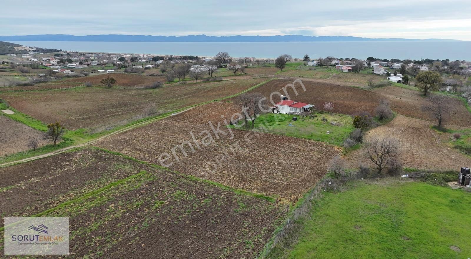 Mecidiye'de Deniz Manzaralı, Sahile Yakın 1.450 M² Satılık Tarla - Görsel 17