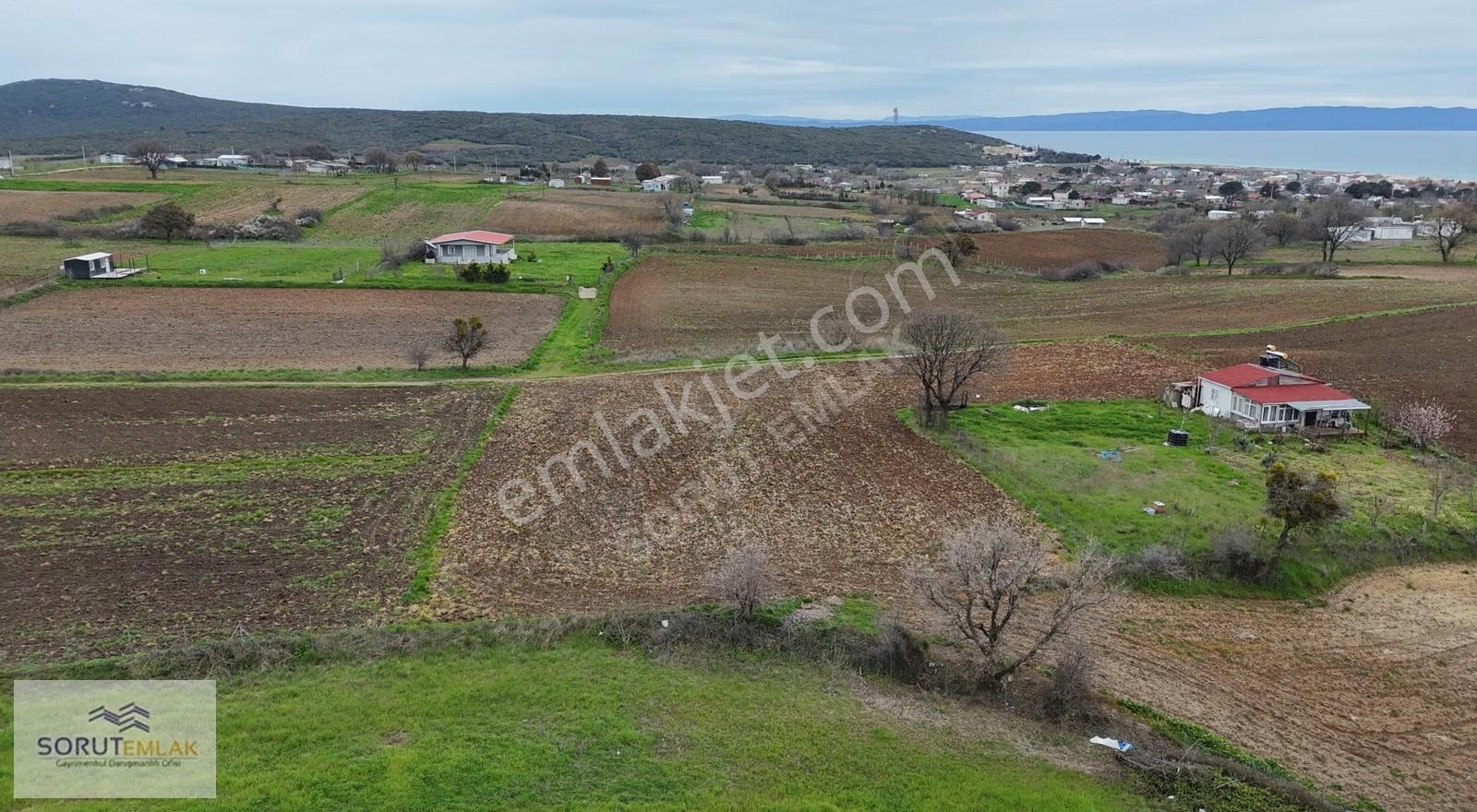 Mecidiye'de Deniz Manzaralı, Sahile Yakın 1.450 M² Satılık Tarla - Görsel 19