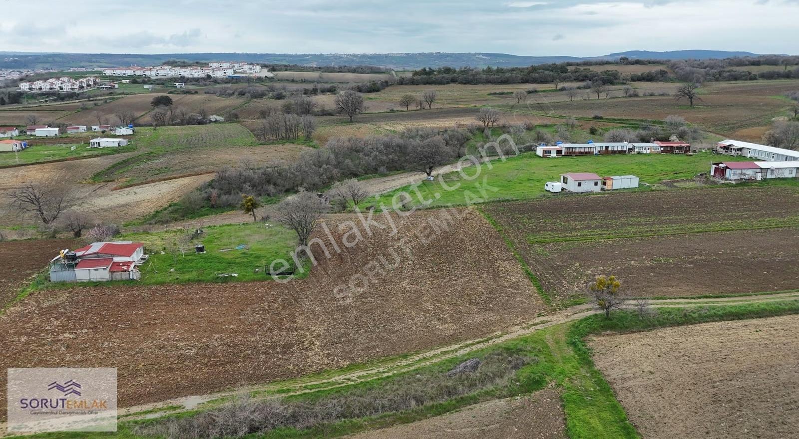 Mecidiye'de Deniz Manzaralı, Sahile Yakın 1.450 M² Satılık Tarla - Görsel 25