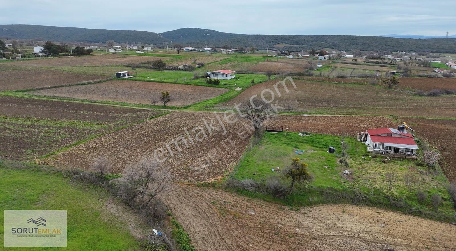 Mecidiye'de Deniz Manzaralı, Sahile Yakın 1.450 M² Satılık Tarla - Görsel 32