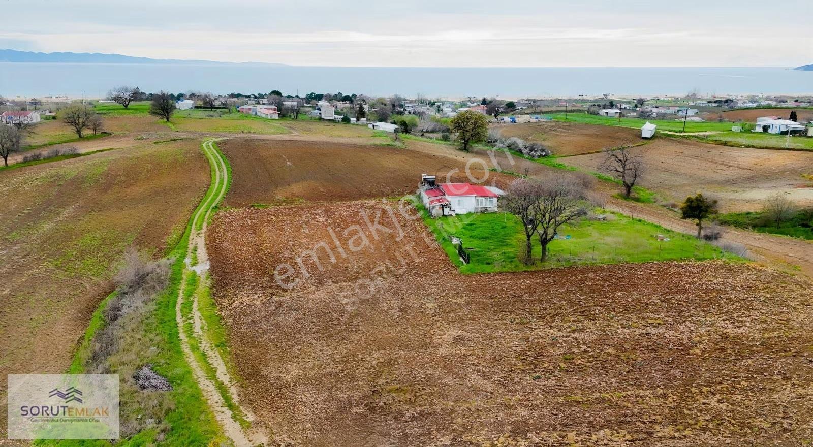 Mecidiye'de Deniz Manzaralı, Sahile Yakın 1.450 M² Satılık Tarla - Görsel 7