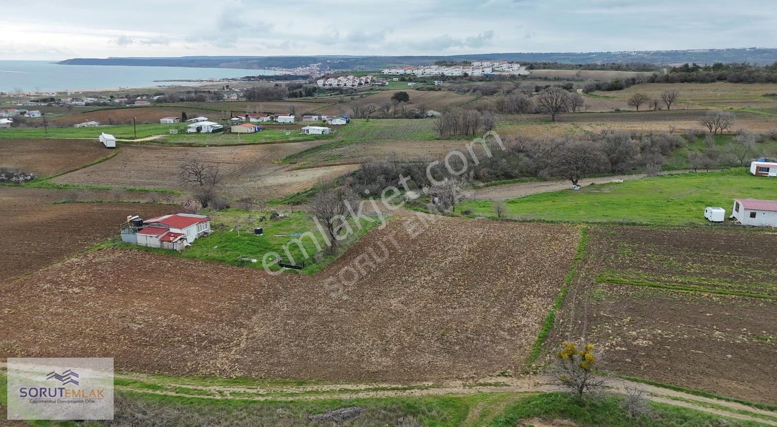 Mecidiye'de Deniz Manzaralı, Sahile Yakın 1.450 M² Satılık Tarla - Görsel 4