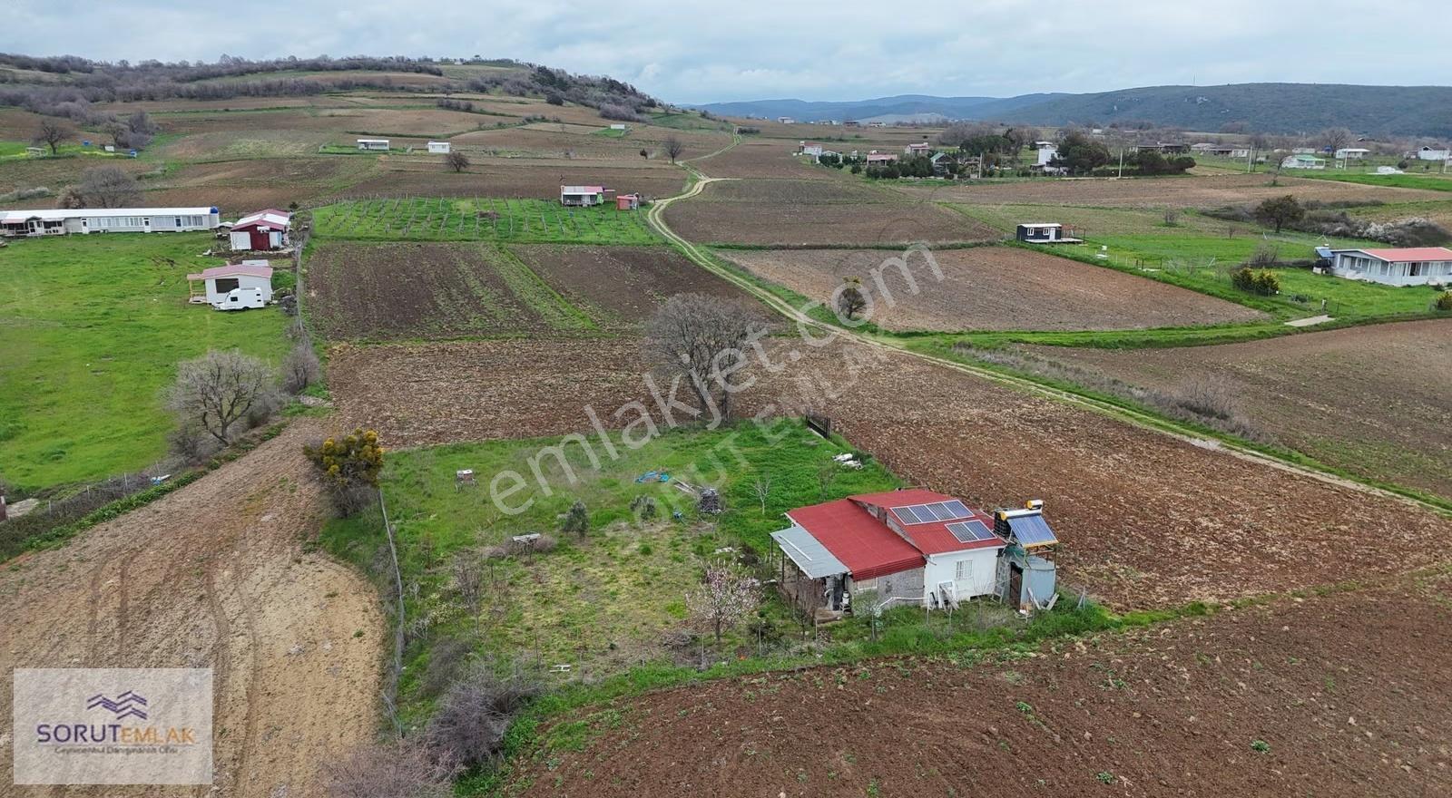 Mecidiye'de Deniz Manzaralı, Sahile Yakın 1.450 M² Satılık Tarla - Görsel 27