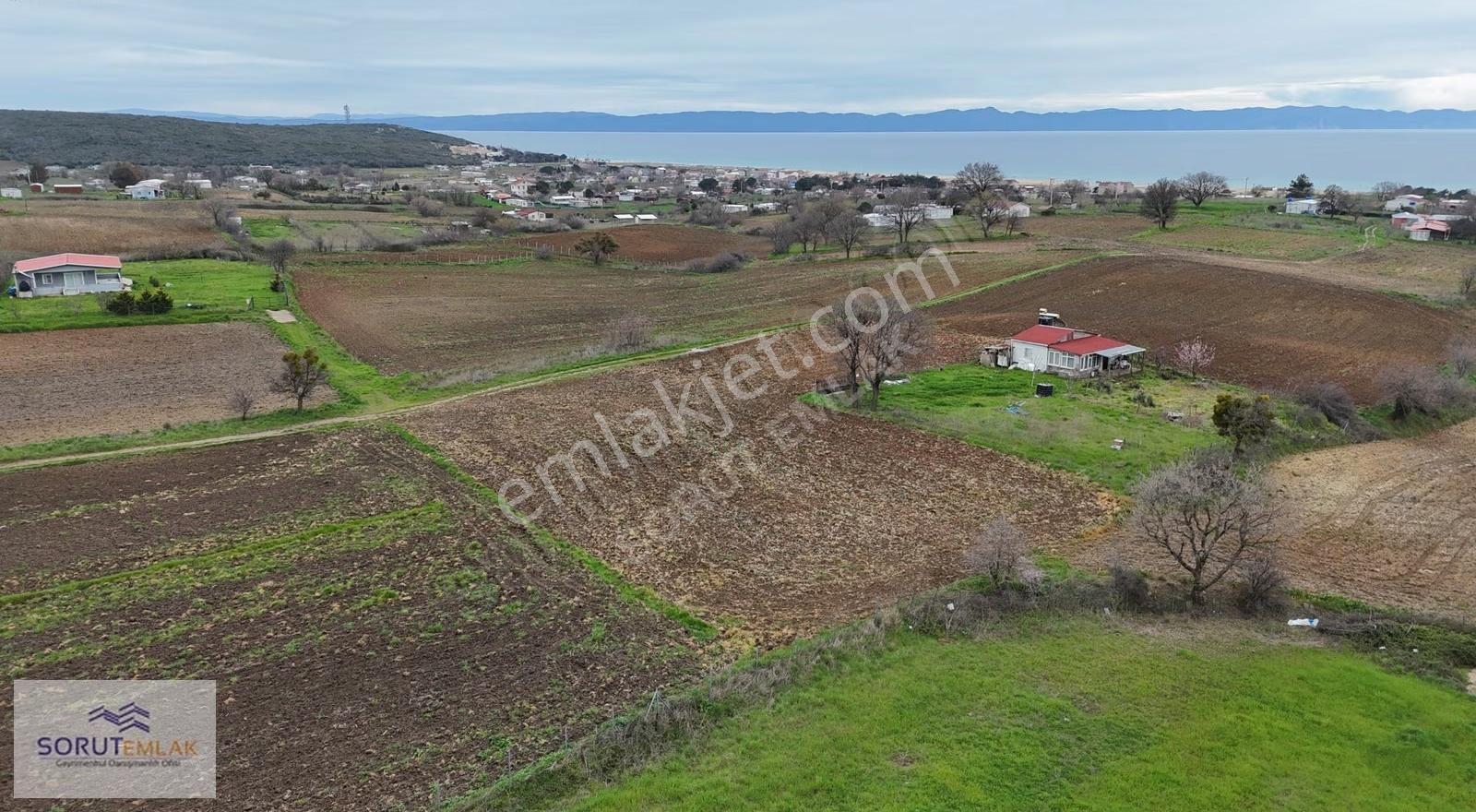 Mecidiye'de Deniz Manzaralı, Sahile Yakın 1.450 M² Satılık Tarla - Görsel 18