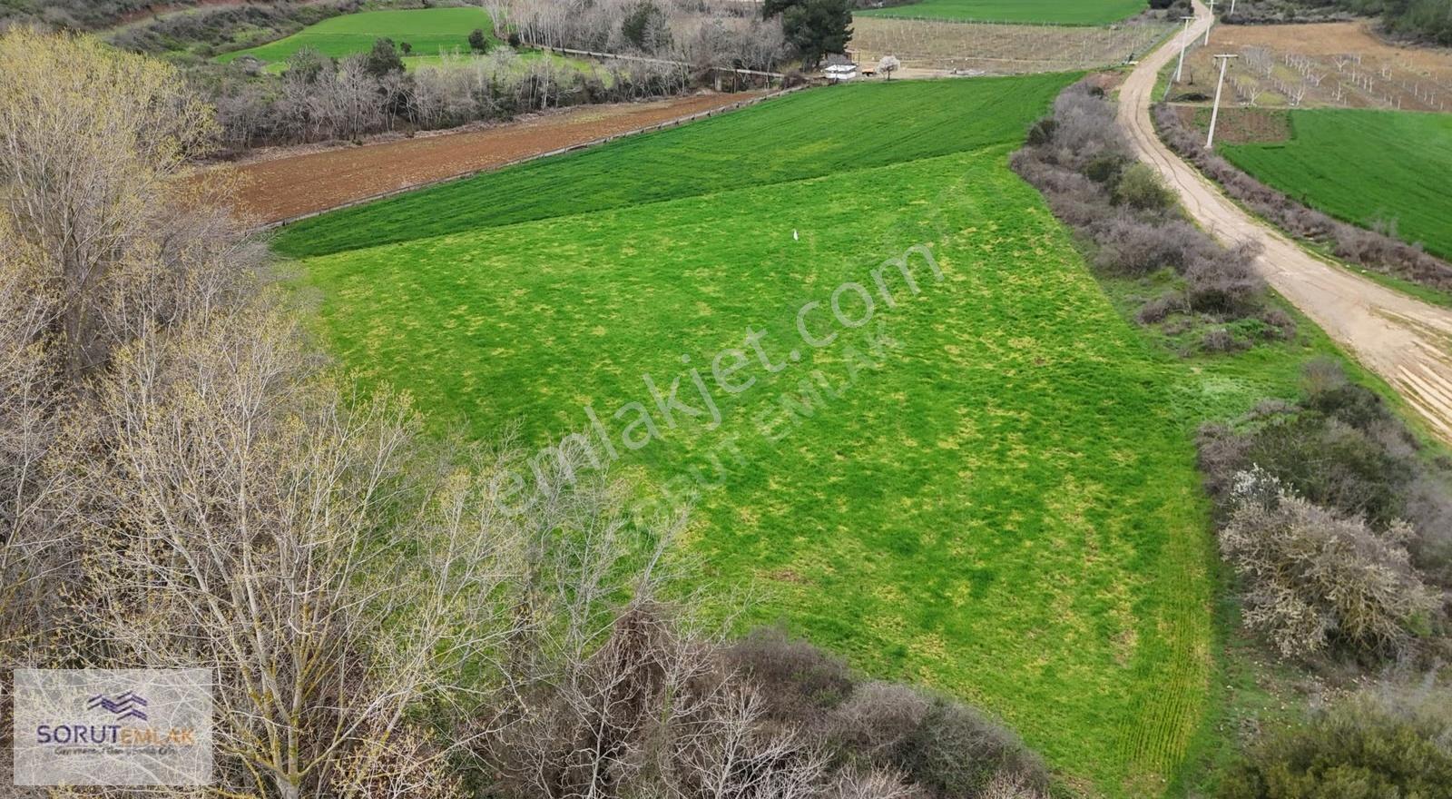 Mecidiye Mutaf'ta Yola Cephe 5.200 M² Satılık Tarla - Görsel 17