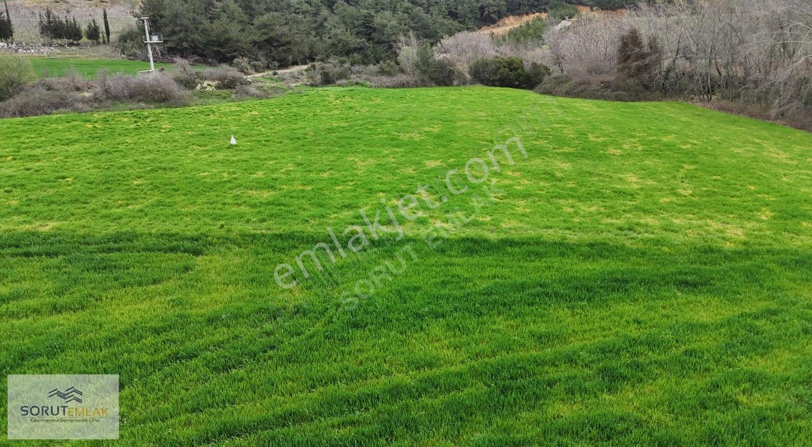 Mecidiye Mutaf'ta Yola Cephe 5.200 M² Satılık Tarla - Görsel 5