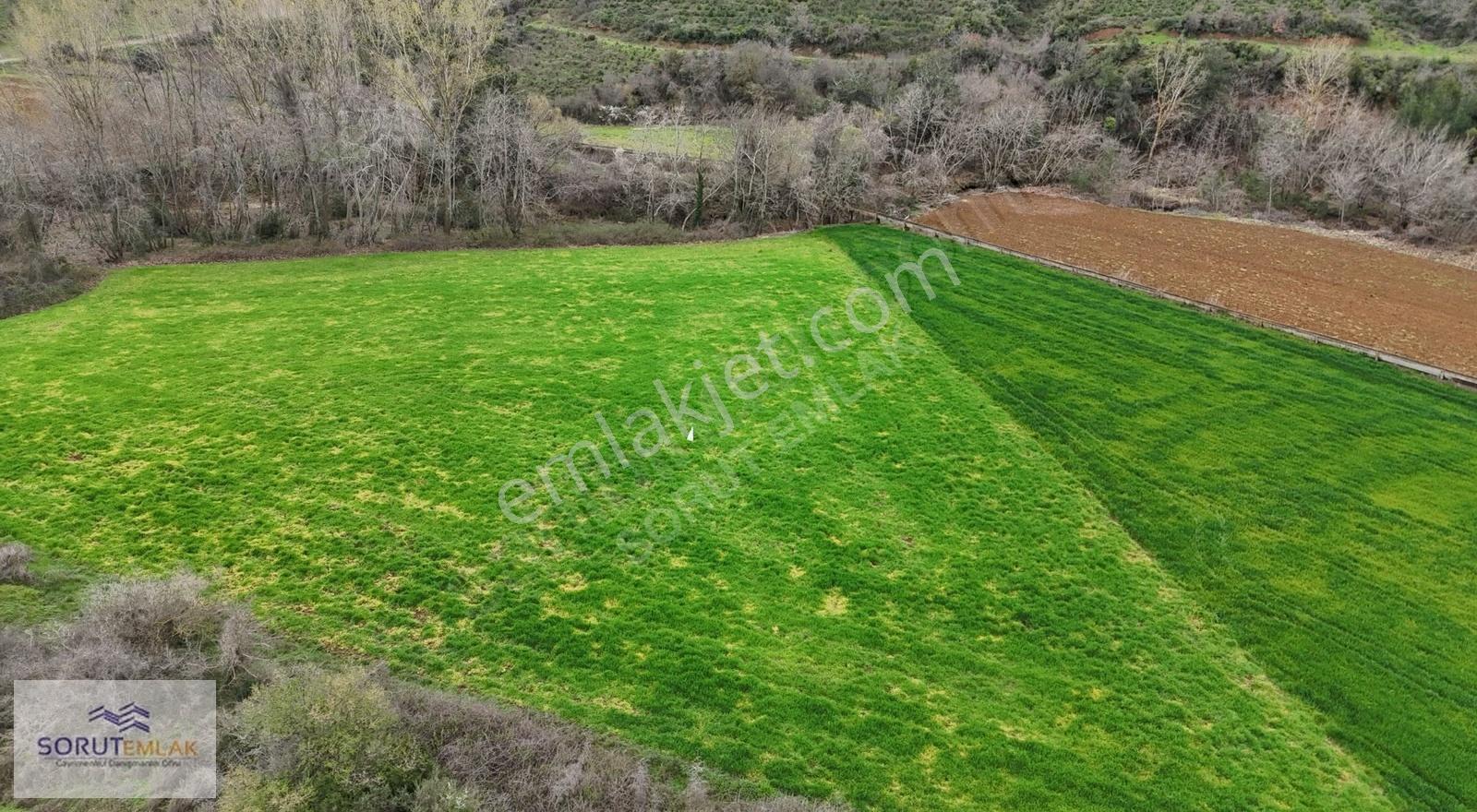 Mecidiye Mutaf'ta Yola Cephe 5.200 M² Satılık Tarla - Görsel 25