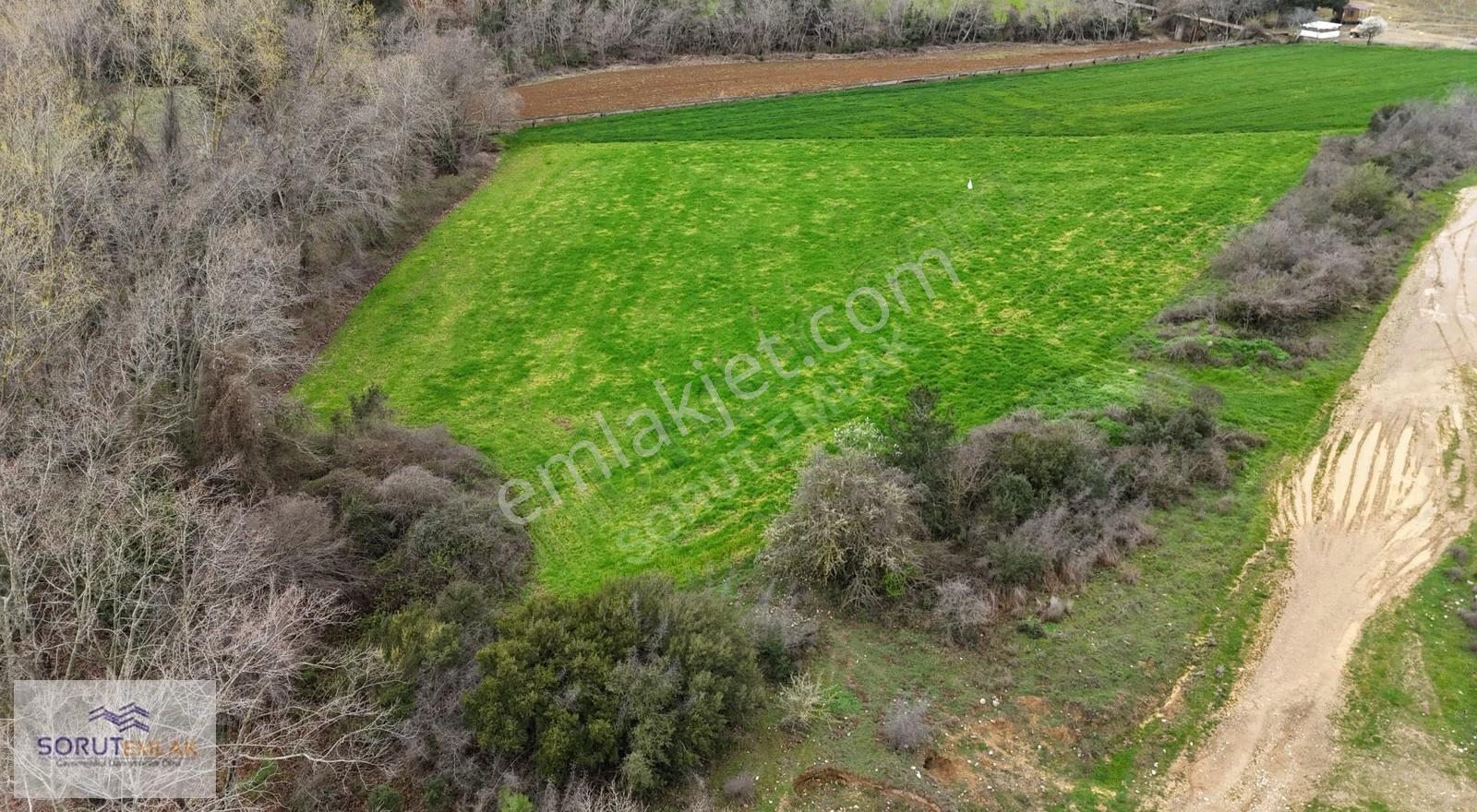 Mecidiye Mutaf'ta Yola Cephe 5.200 M² Satılık Tarla - Görsel 15