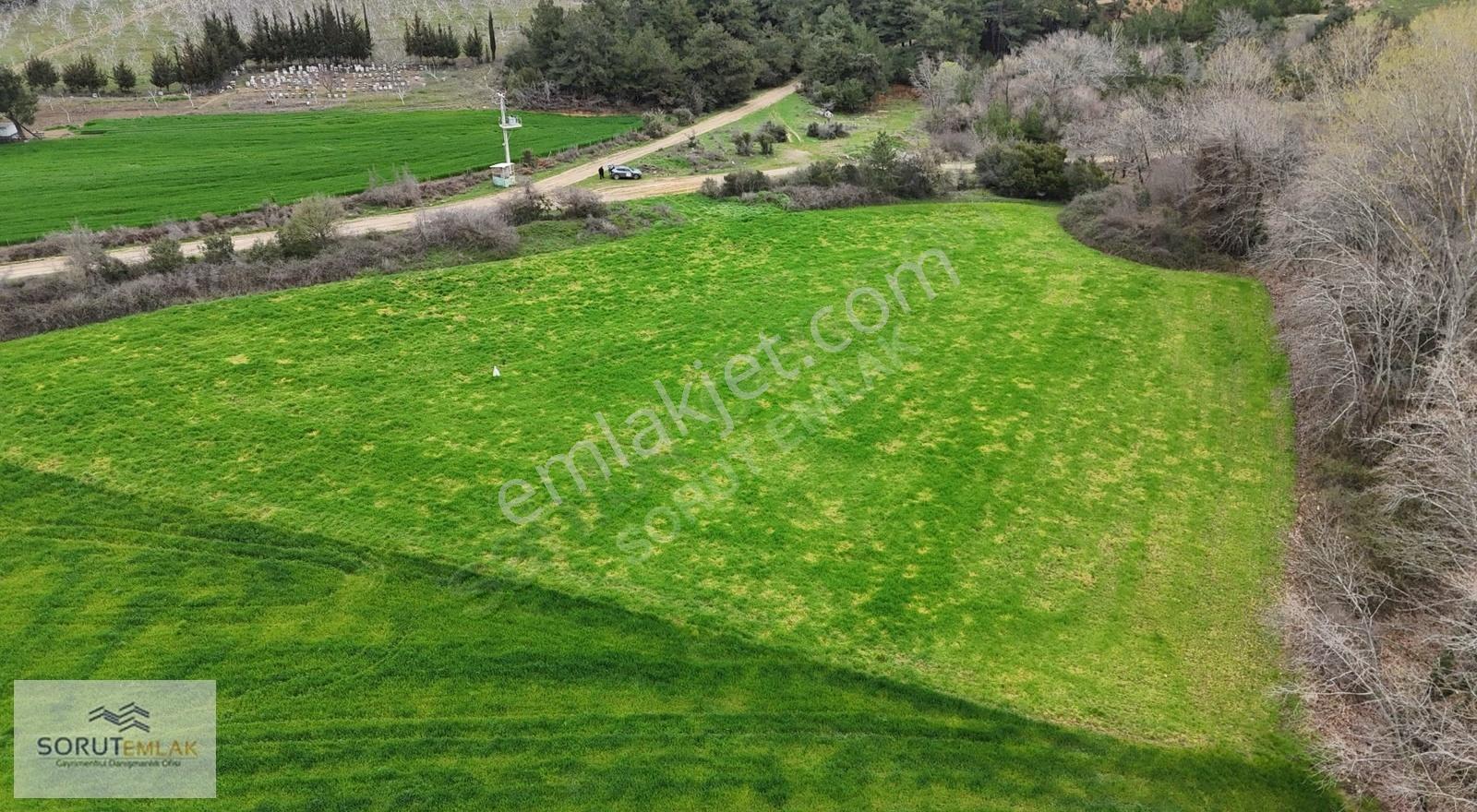 Mecidiye Mutaf'ta Yola Cephe 5.200 M² Satılık Tarla - Görsel 3