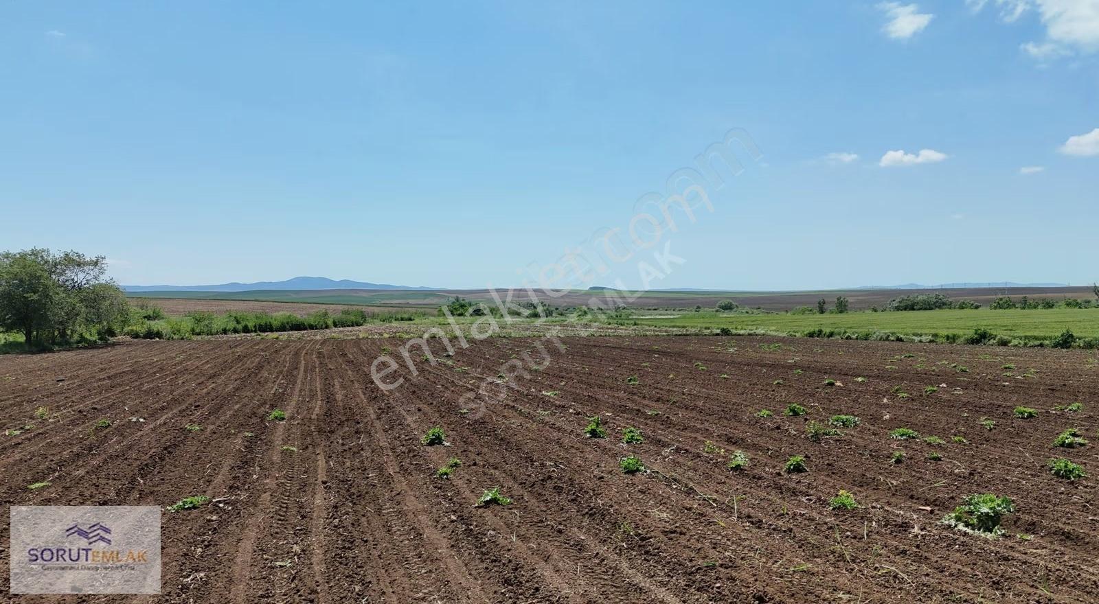 Keşan Yeniceçiftlik'te Otoyol Cepheli 7008 M² Yatırımlık Tarla - Görsel 2