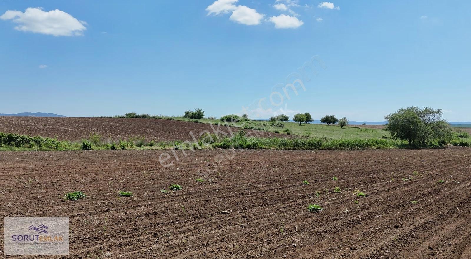 Keşan Yeniceçiftlik'te Otoyol Cepheli 7008 M² Yatırımlık Tarla - Görsel 11