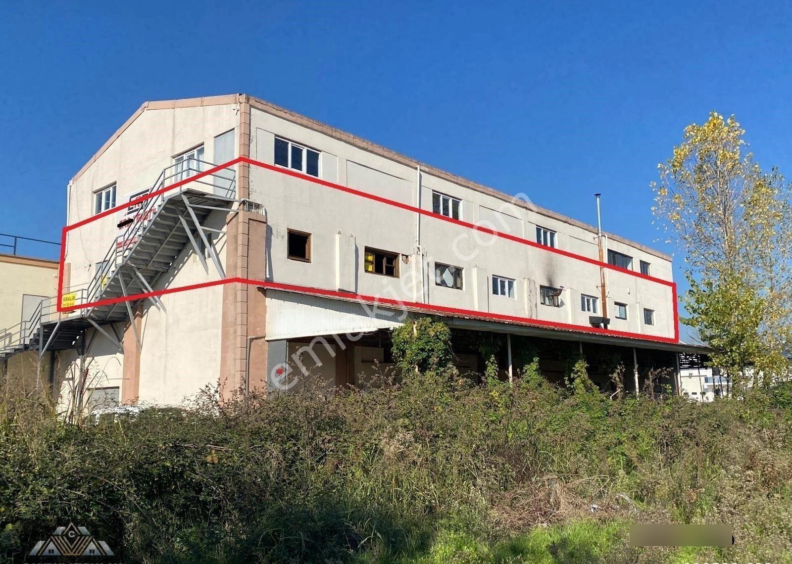 Canbulattan Doğanlıda 500 M² Kapalı Alanlı Kiralık İşyeri