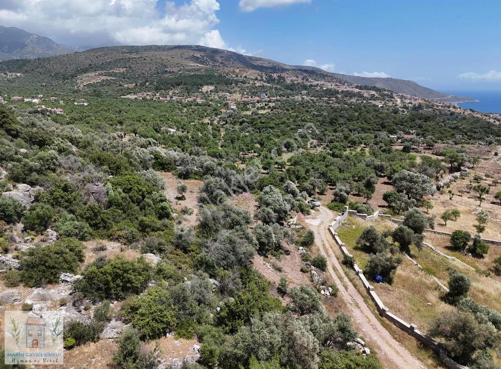Marinden Palamutbükü'nde 2.304 M2 Deniz Manzaralı Arazi - Görsel 4