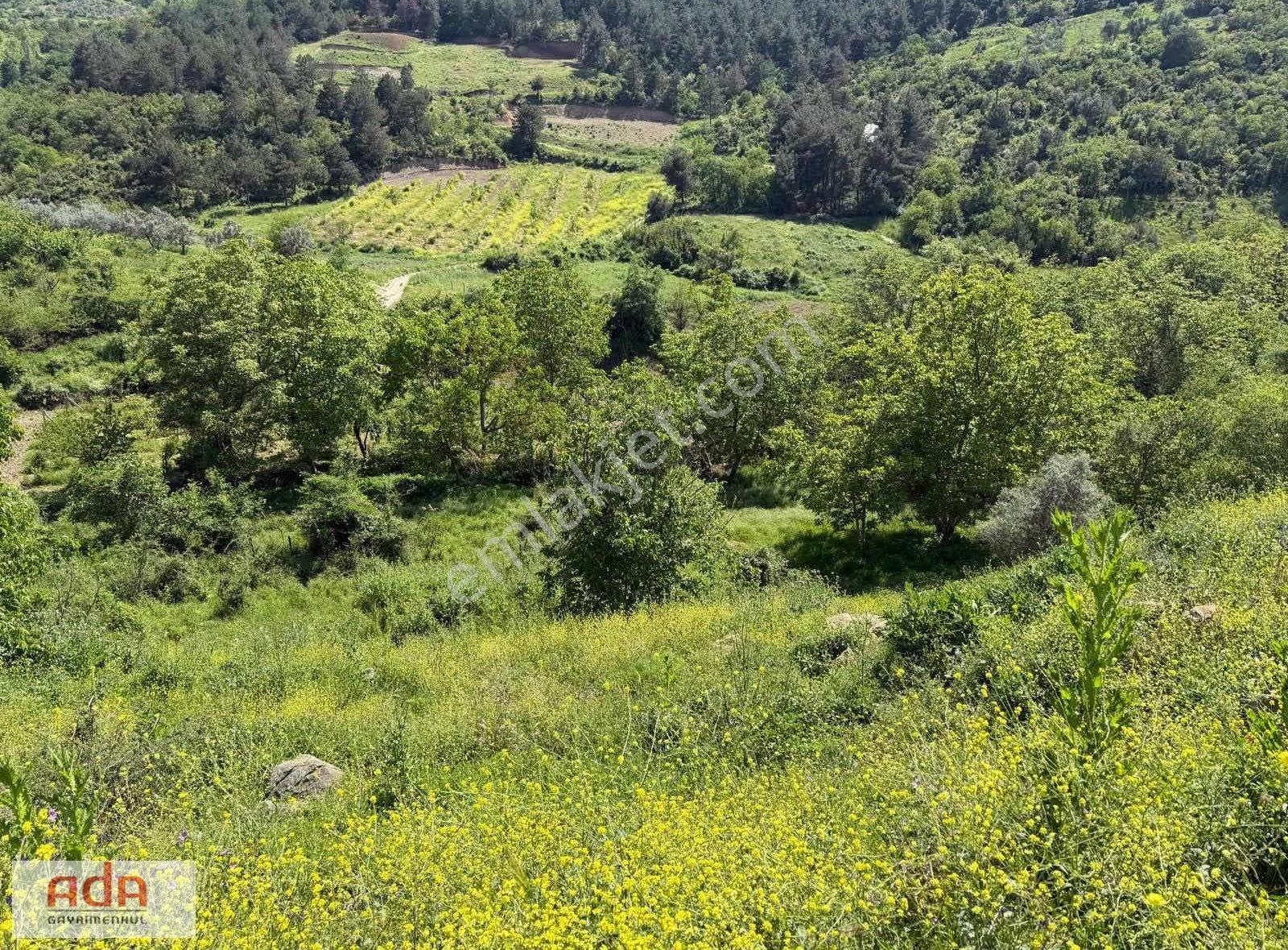 Geyve Umurbey Mahallesinde Doğayla İç İçe 550 M² İmarlı Arsa - Görsel 9