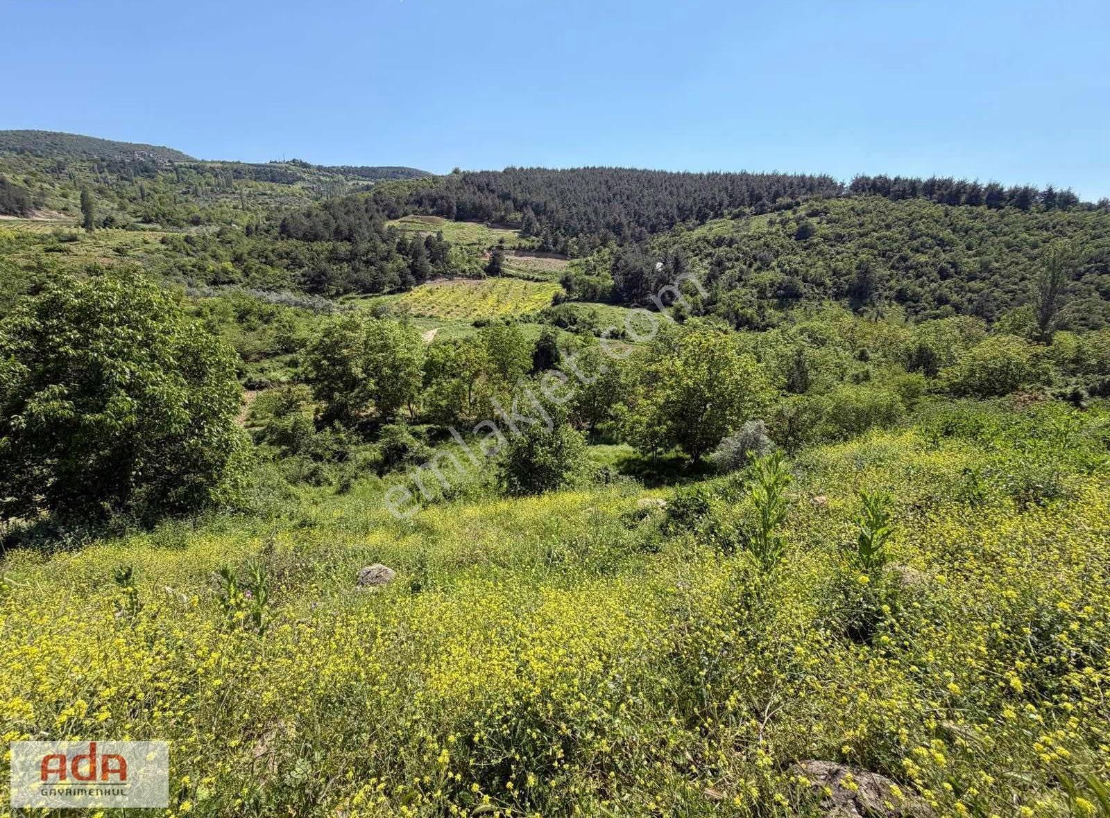 Geyve Umurbey Mahallesinde Doğayla İç İçe 550 M² İmarlı Arsa - Görsel 18