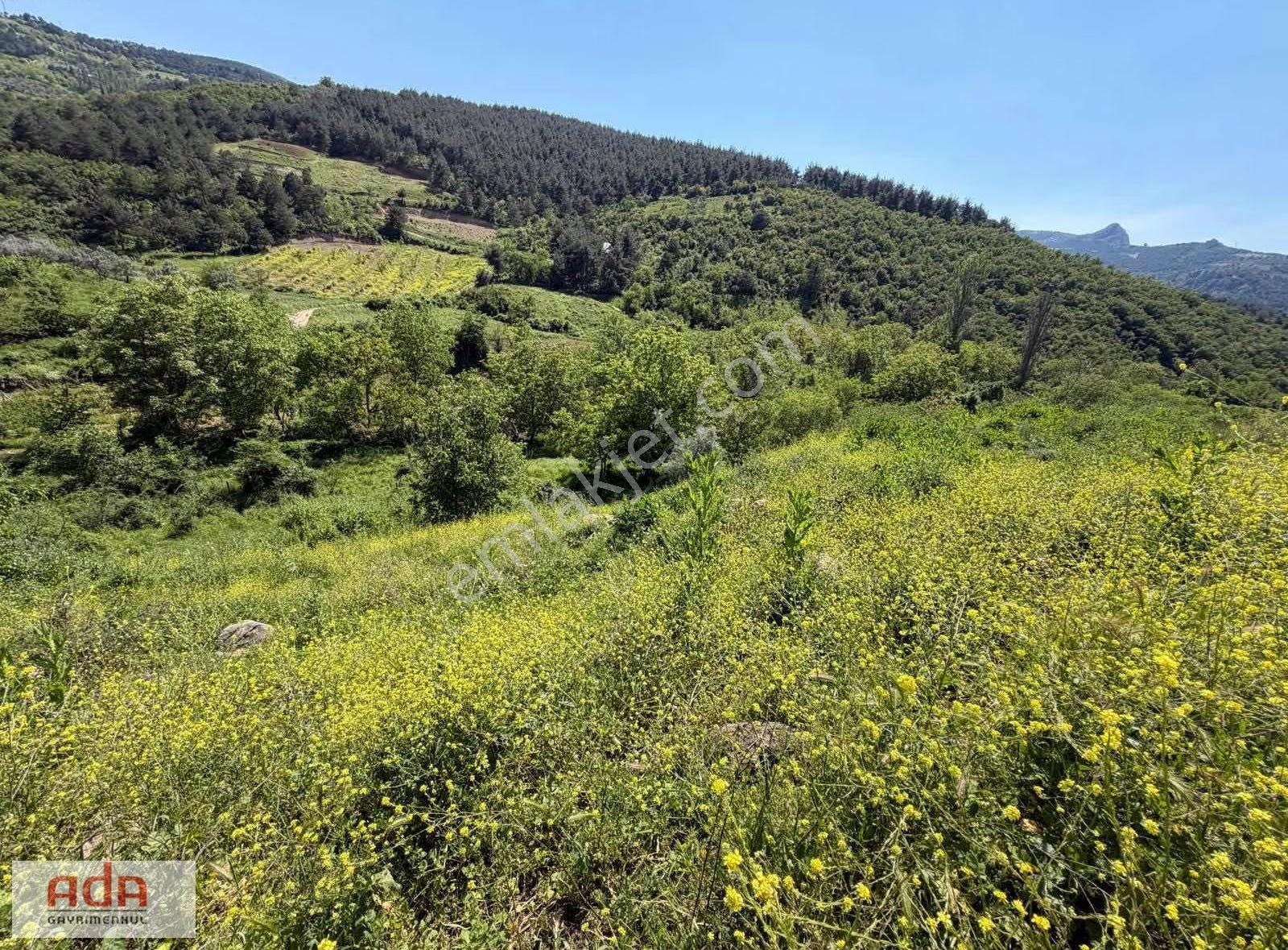Geyve Umurbey Mahallesinde Doğayla İç İçe 550 M² İmarlı Arsa - Görsel 10