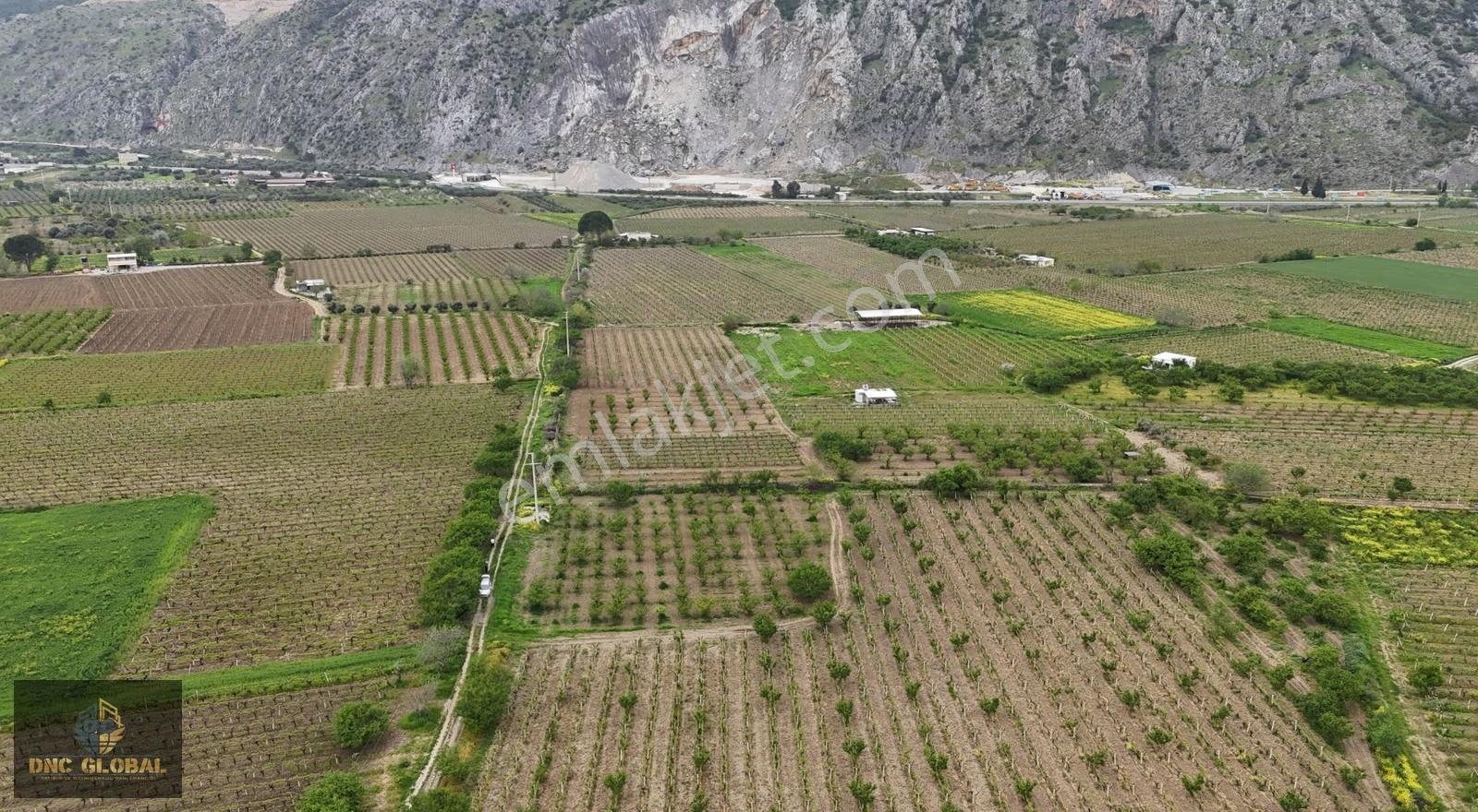 Manisa Şehzdalerde Meyve Bahçesi - Görsel 2