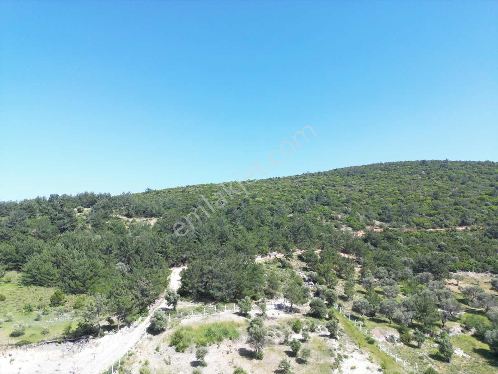 Kesintisiz Deniz Manzaralı İçerisinde 50 M2 Yapı Olan Tarla - Görsel 23