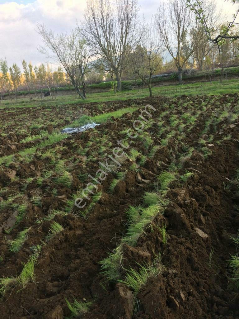 Simav Yenimahallede Yeni Hastaneye Yakın Satılık Tarla - Görsel 8