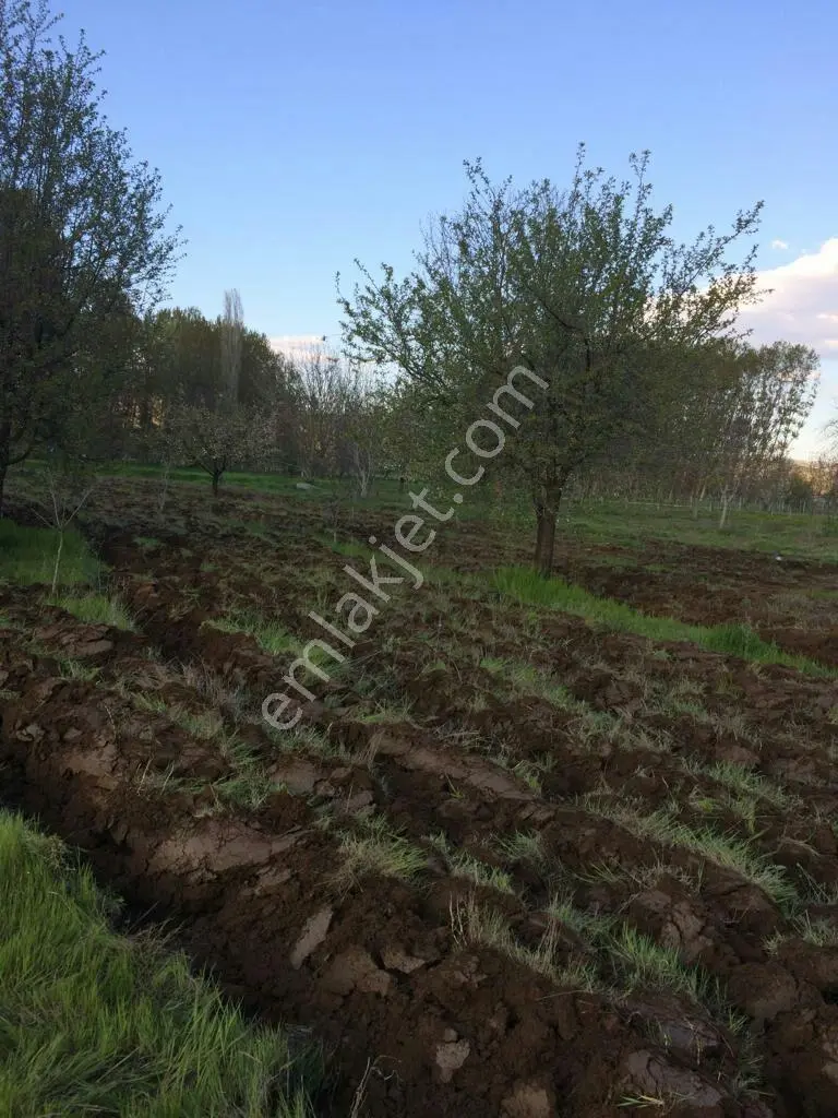 Simav Yenimahallede Yeni Hastaneye Yakın Satılık Tarla