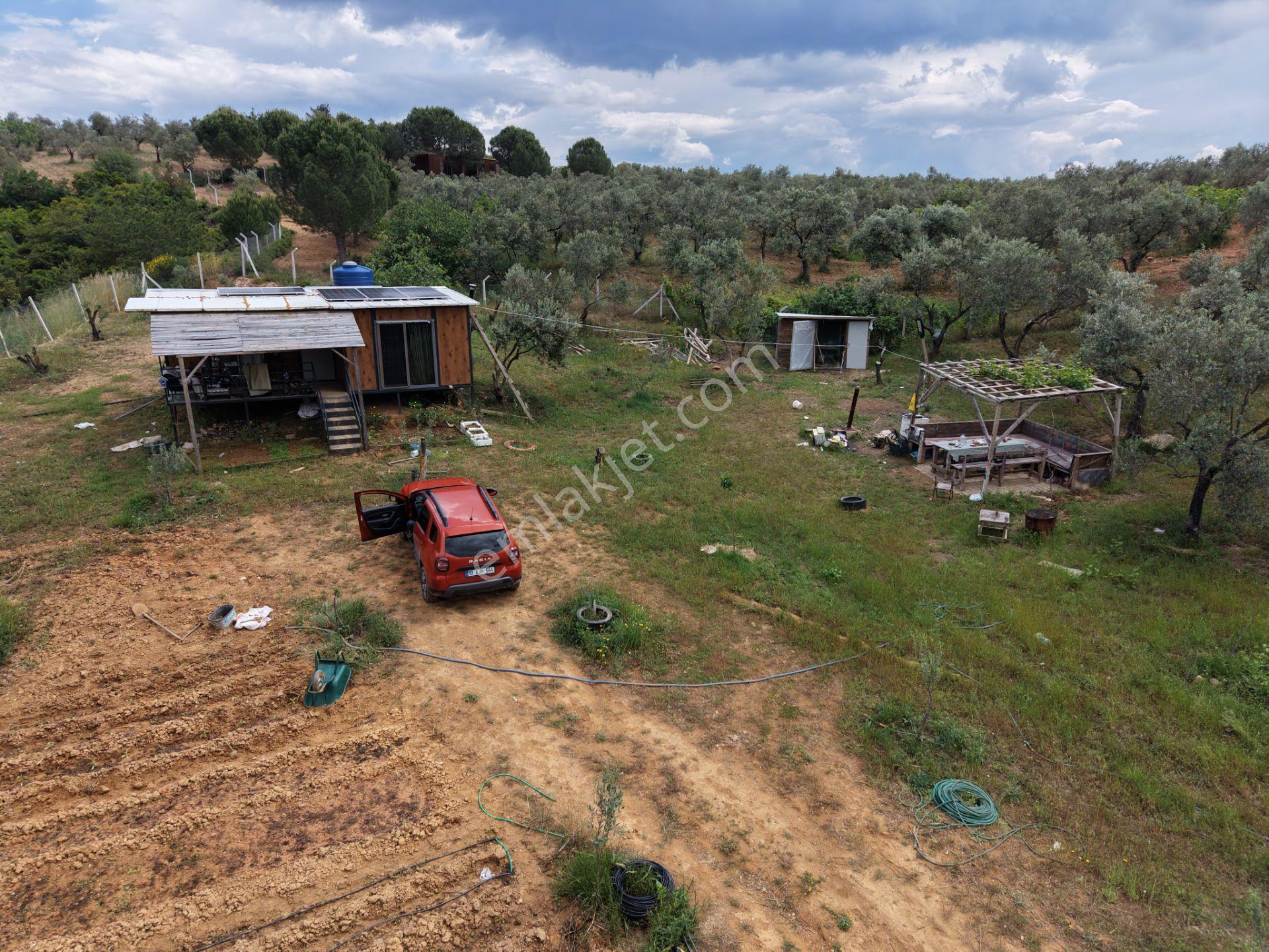 Mera Emlaktan Yaylaönü Köyü Resmi Yola Cephe 10.200m2 Zeytinlik - Görsel 7