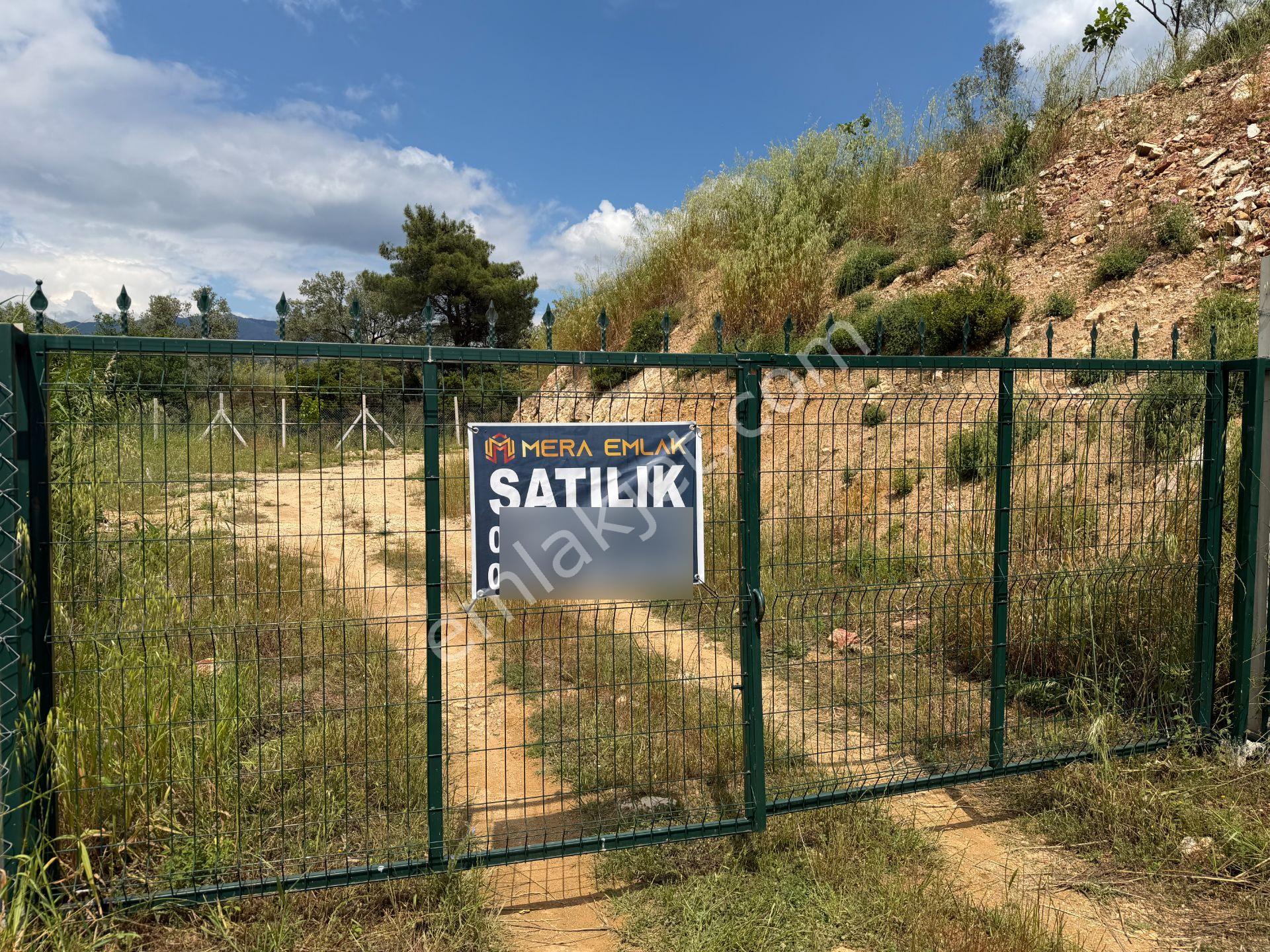Mera Emlaktan Yaylaönü Köyü Resmi Yola Cephe 10.200m2 Zeytinlik - Görsel 31
