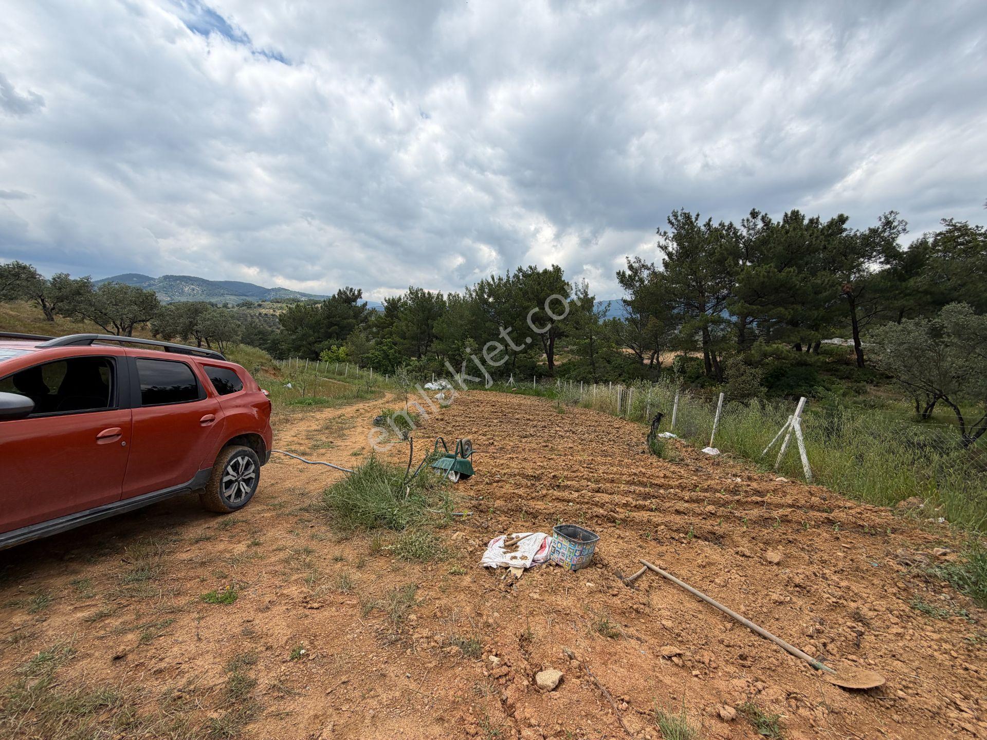 Mera Emlaktan Yaylaönü Köyü Resmi Yola Cephe 10.200m2 Zeytinlik - Görsel 29