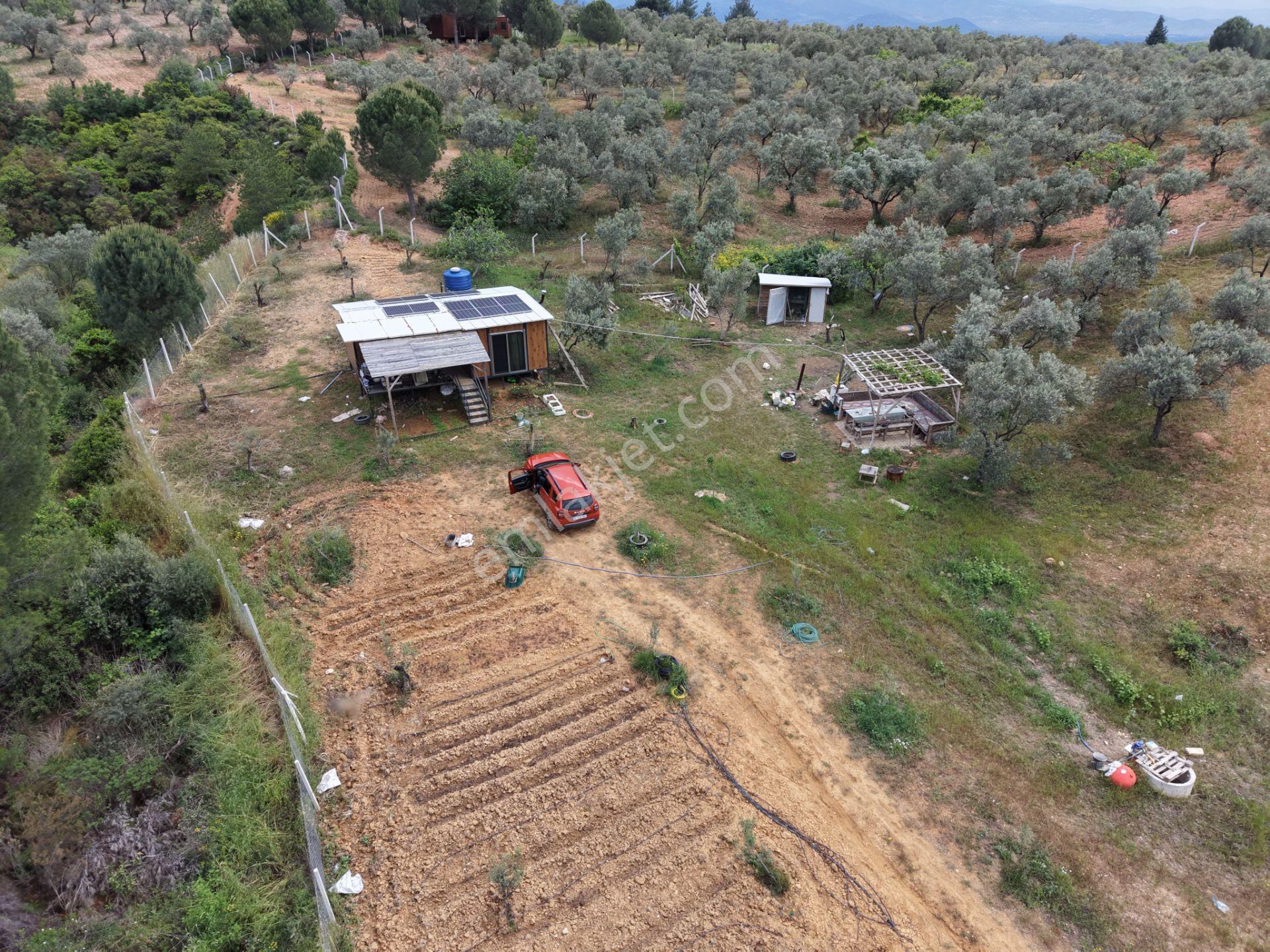 Mera Emlaktan Yaylaönü Köyü Resmi Yola Cephe 10.200m2 Zeytinlik - Görsel 8
