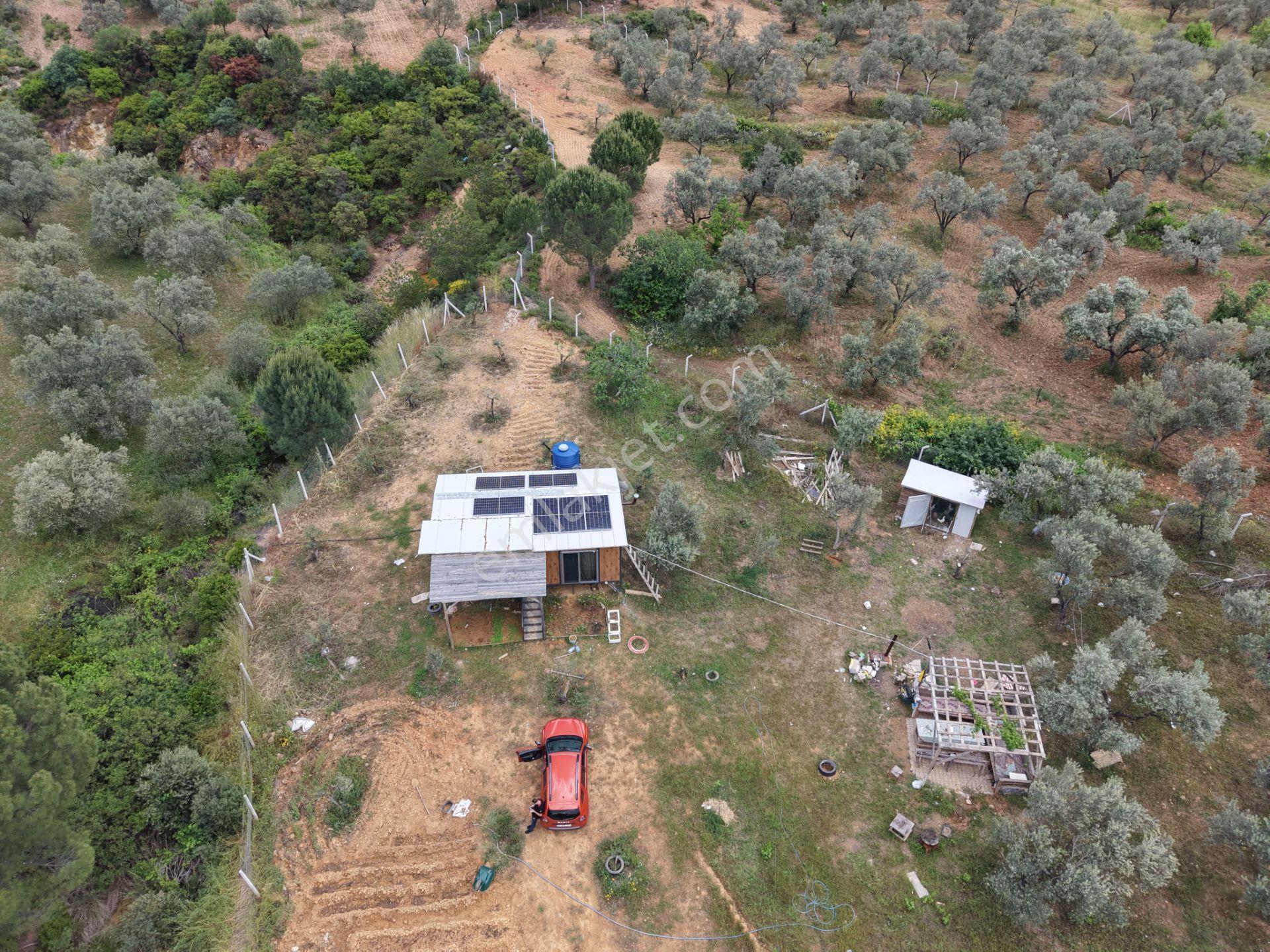 Mera Emlaktan Yaylaönü Köyü Resmi Yola Cephe 10.200m2 Zeytinlik - Görsel 2