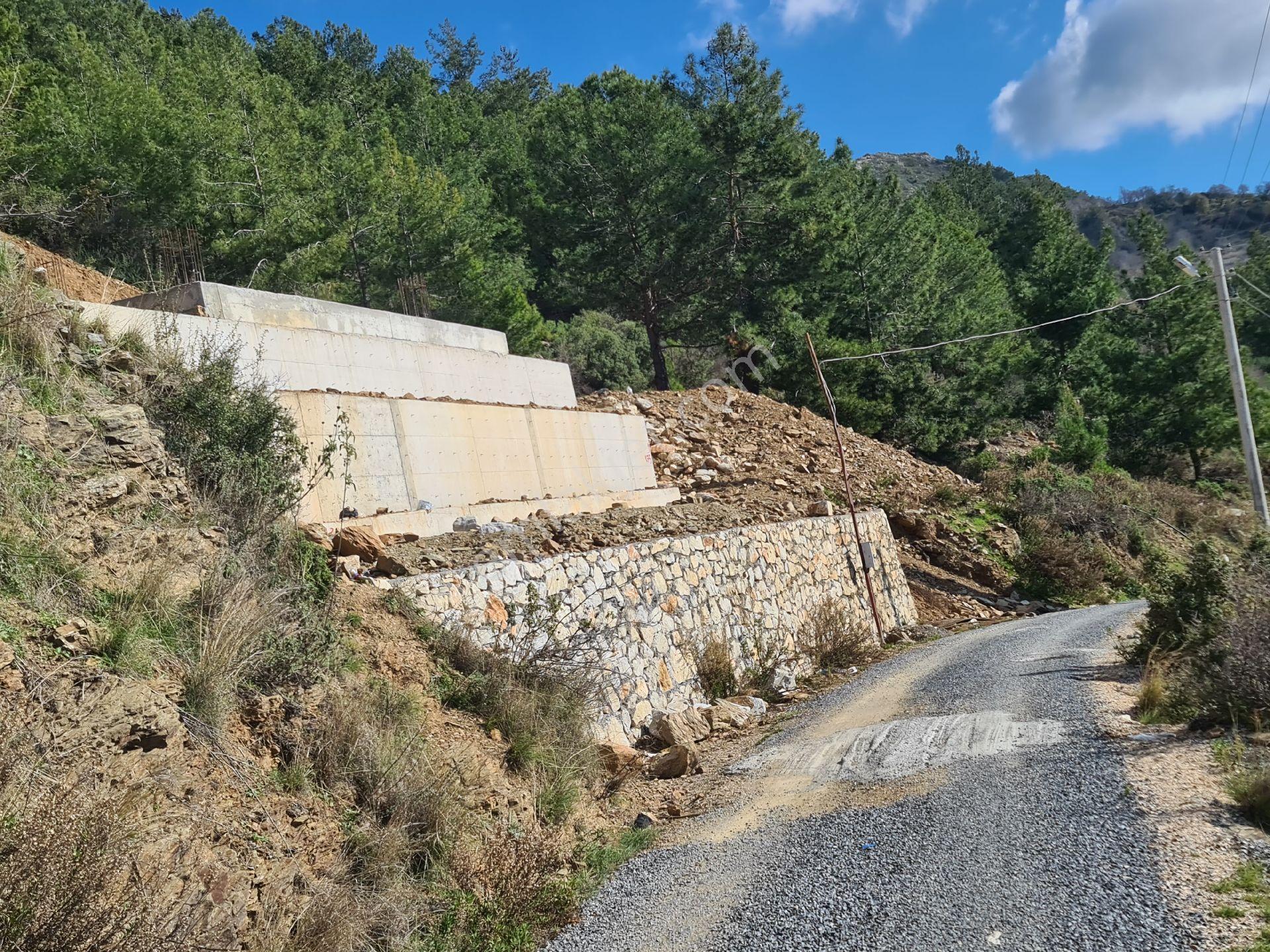 Antalya Gazipaşa Zeytinada Ful Deniz Ve Doğa Manzaralı Villa Arsası - Görsel 5