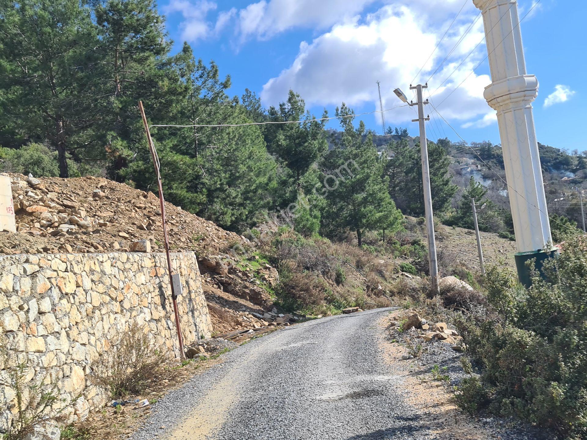 Antalya Gazipaşa Zeytinada Ful Deniz Ve Doğa Manzaralı Villa Arsası - Görsel 3