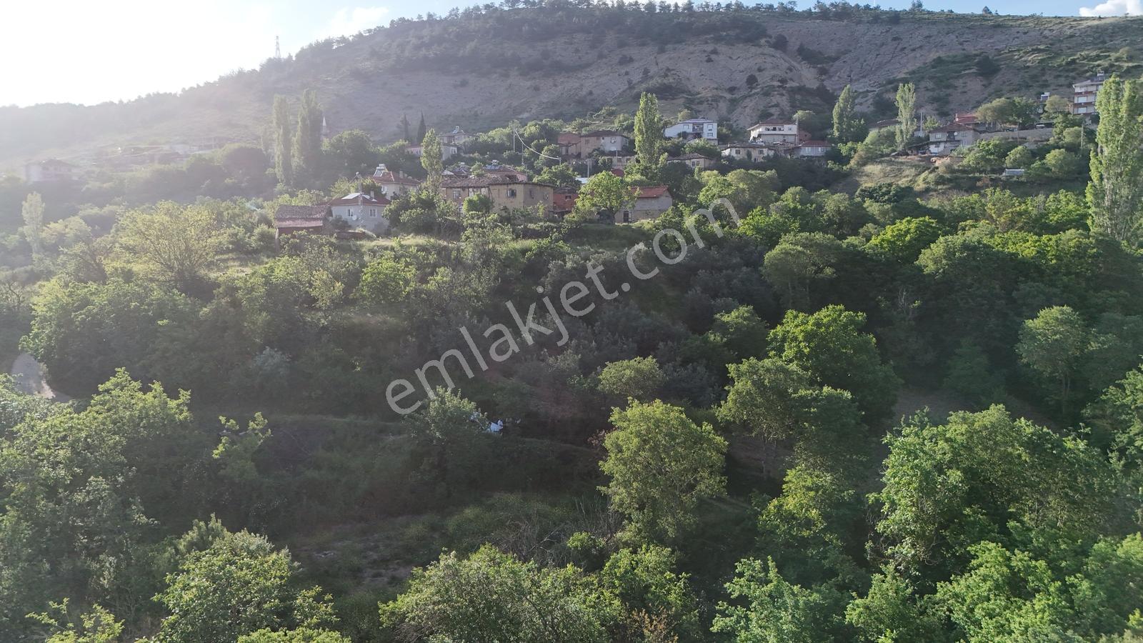 Sakarya Geyve 360m2 %40 İmarlı Fırsat Araç Takas Seçenek Mevcut - Görsel 25