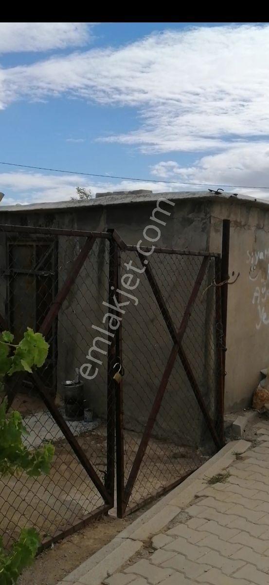 Kuyulu Köy Merkezinde Harika Bahçe - Görsel 15