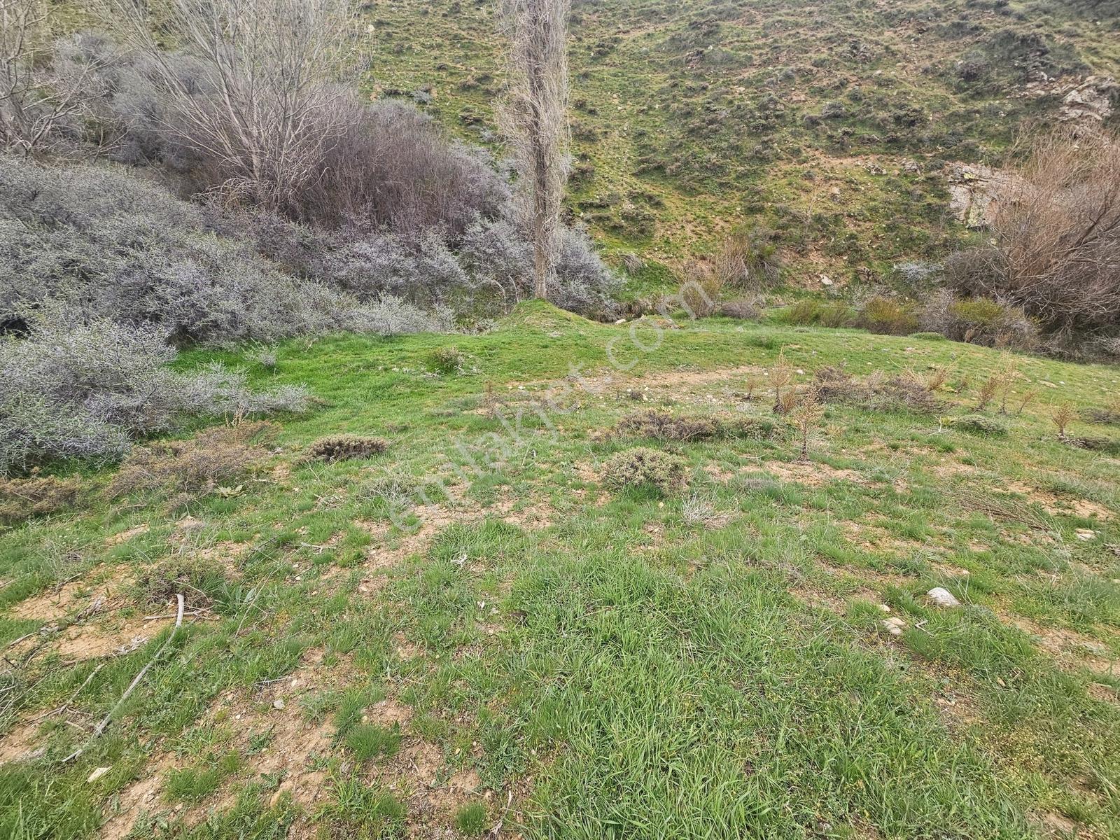 Toros Emlak'tan Çamardı Bademdere Bulduruta 2900m2 Tarla - Görsel 34