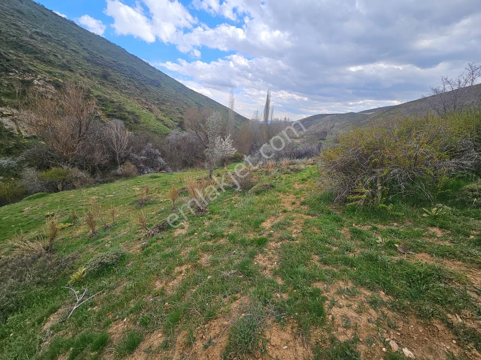 Toros Emlak'tan Çamardı Bademdere Bulduruta 2900m2 Tarla - Görsel 12