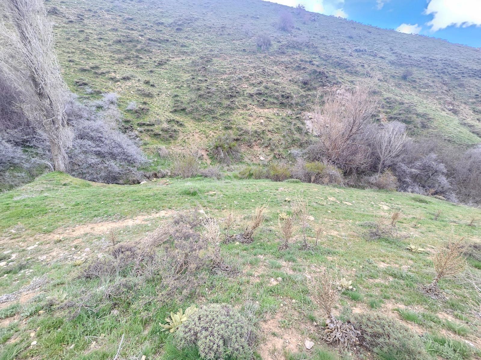 Toros Emlak'tan Çamardı Bademdere Bulduruta 2900m2 Tarla - Görsel 26