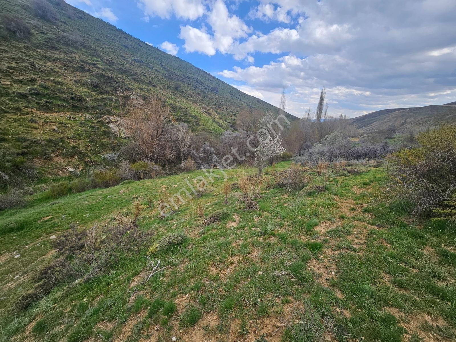 Toros Emlak'tan Çamardı Bademdere Bulduruta 2900m2 Tarla - Görsel 2