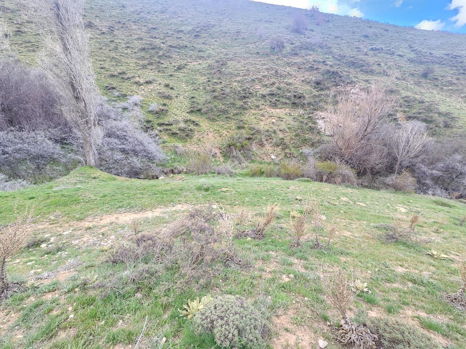 Toros Emlak'tan Çamardı Bademdere Bulduruta 2900m2 Tarla - Görsel 19