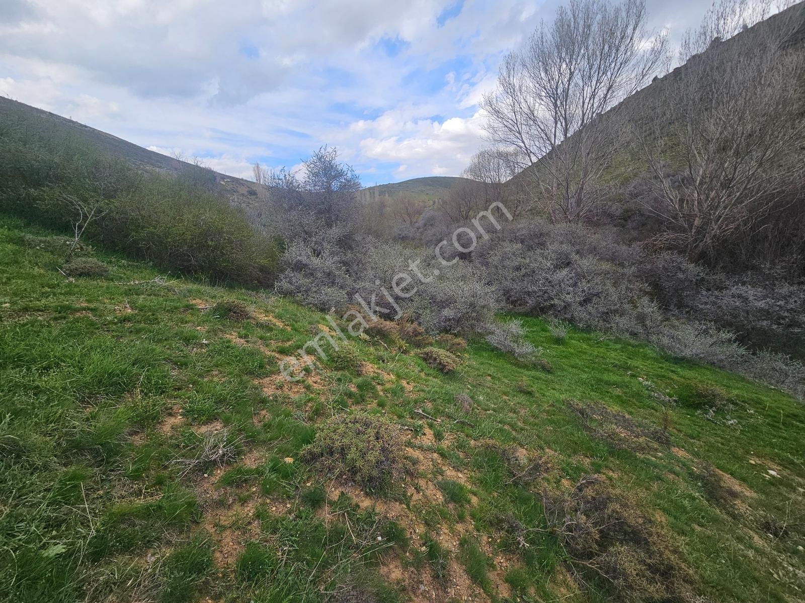 Toros Emlak'tan Çamardı Bademdere Bulduruta 2900m2 Tarla - Görsel 18