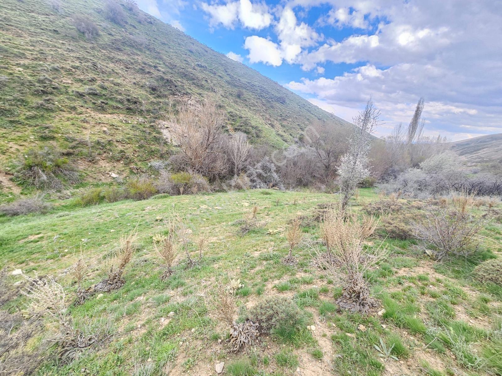 Toros Emlak'tan Çamardı Bademdere Bulduruta 2900m2 Tarla - Görsel 14