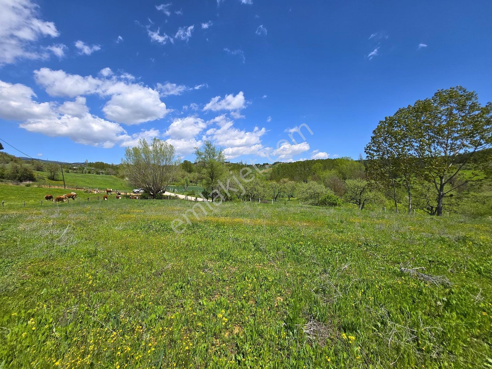 █ Garanti Emlak'tan - Kasaba Köyünde - " 2.500 M² İmarlı Arsa " - Görsel 4