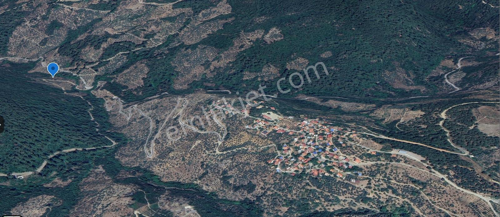 Yola Cepheli, Verimli Zeytinlik 3292 M² | Balcılar-bezirgan - Görsel 7