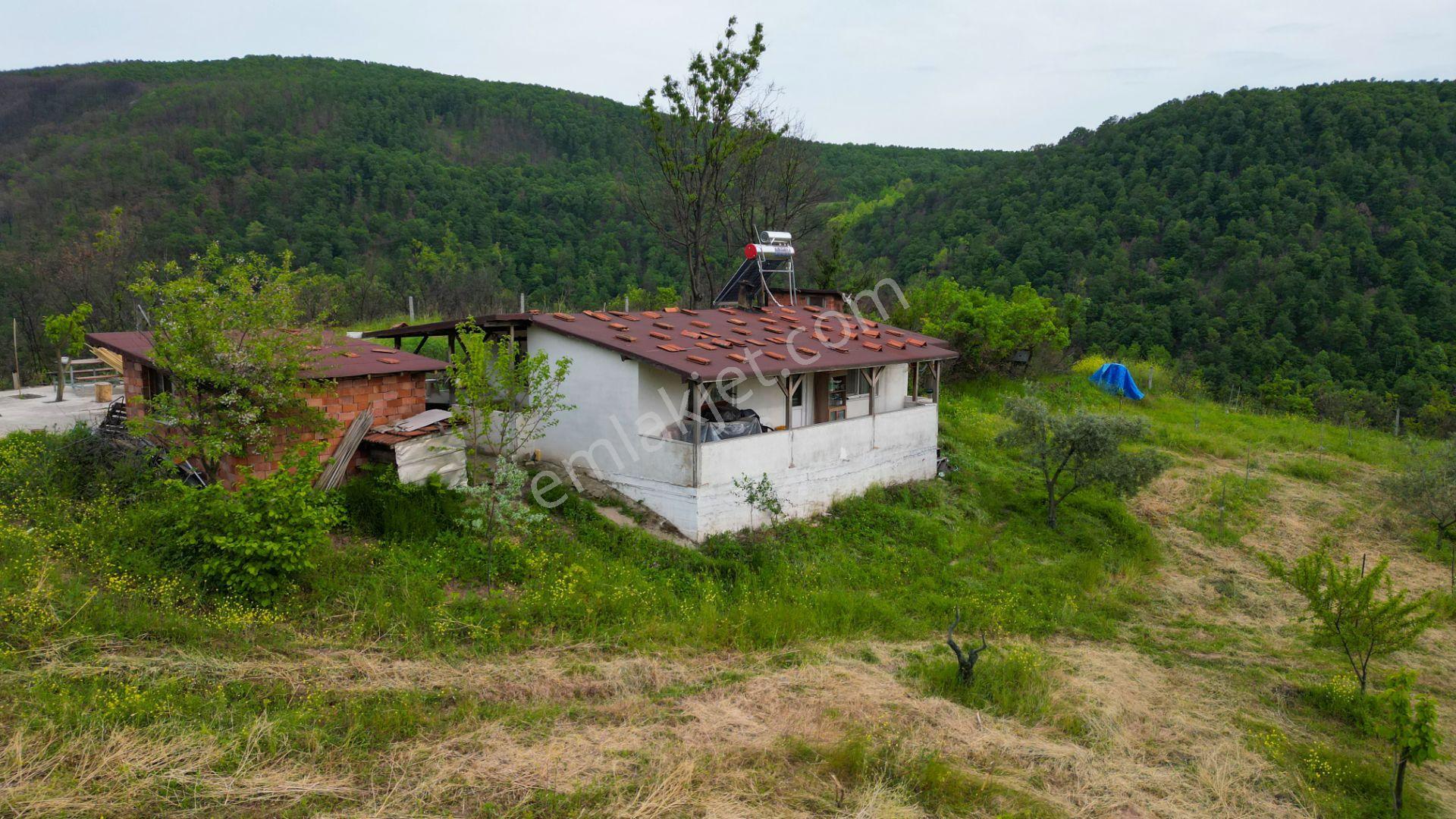 Karamürsel Suludere 4085 M2 Bahçe İçinde Satılık Müstakil Ev - Görsel 13