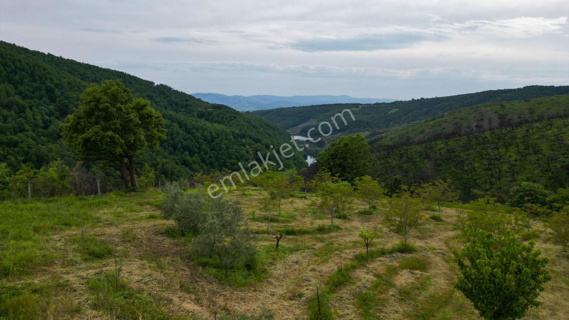 Karamürsel Suludere 4085 M2 Bahçe İçinde Satılık Müstakil Ev - Görsel 15