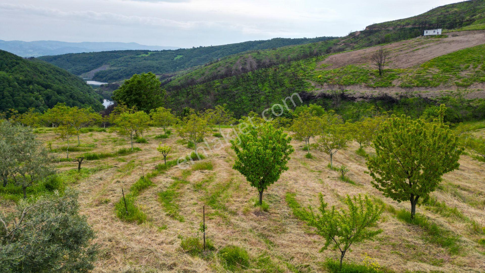 Karamürsel Suludere 4085 M2 Bahçe İçinde Satılık Müstakil Ev - Görsel 17
