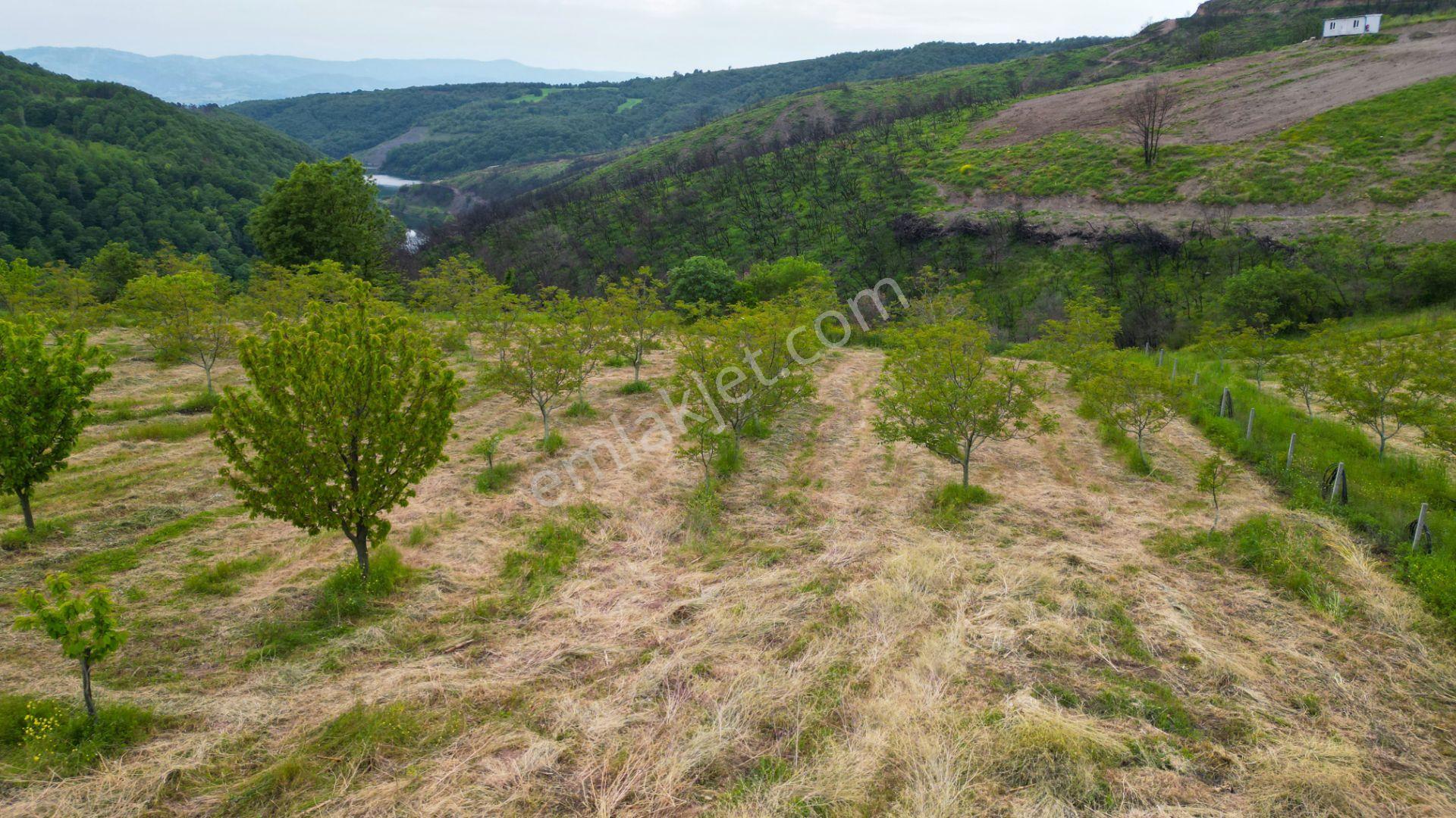 Karamürsel Suludere 4085 M2 Bahçe İçinde Satılık Müstakil Ev - Görsel 18