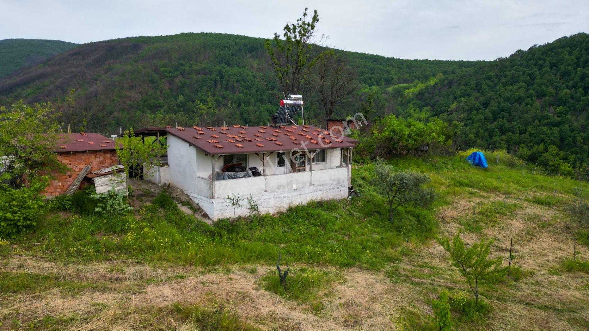 Karamürsel Suludere 4085 M2 Bahçe İçinde Satılık Müstakil Ev - Görsel 12