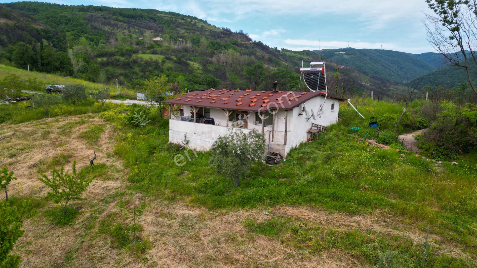 Karamürsel Suludere 4085 M2 Bahçe İçinde Satılık Müstakil Ev - Görsel 11