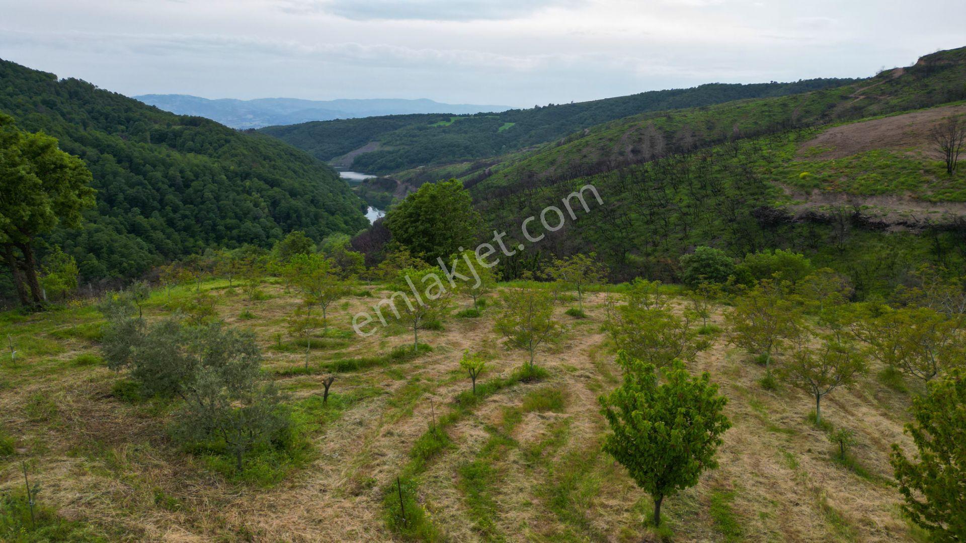 Karamürsel Suludere 4085 M2 Bahçe İçinde Satılık Müstakil Ev - Görsel 14